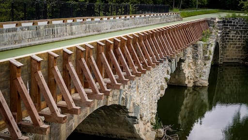 Linear Park along the old C&O Canal for biking and hiking