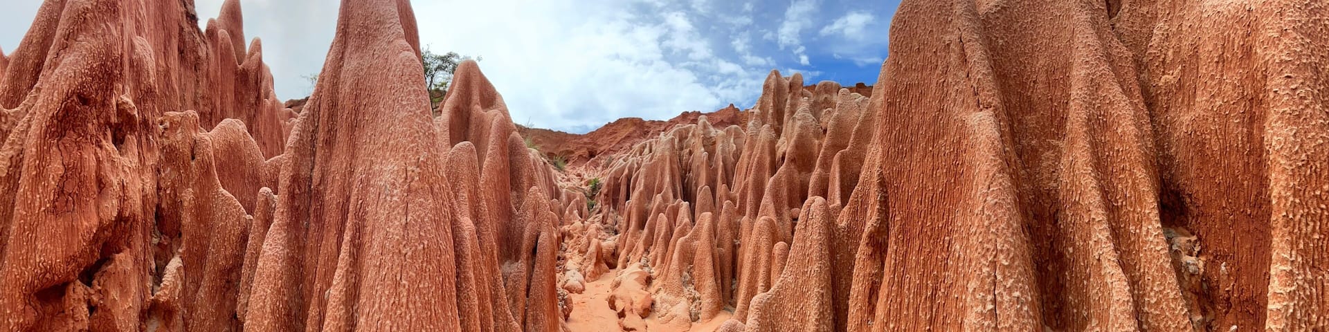 A rugged landscape with towering rock formations.