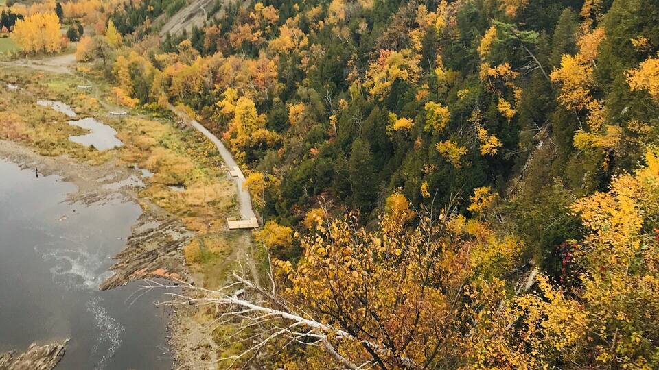 A river winding through a forest with autumn foliage.