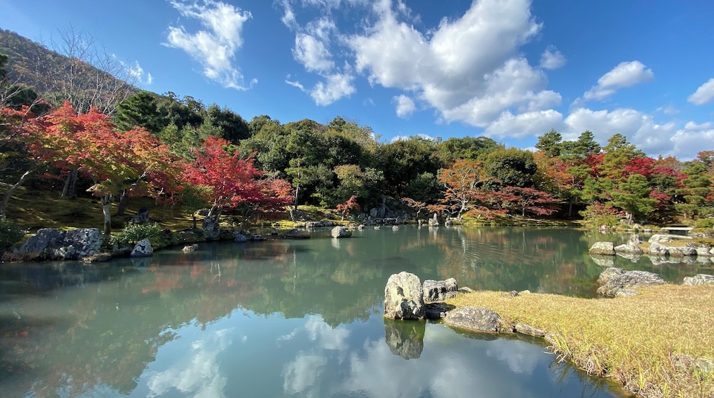 Take the Sagano Scenic Railway in Arashiyama, Kyoto to discover natural beauty of Kyoto and its mountains #lifeatexpediagroup