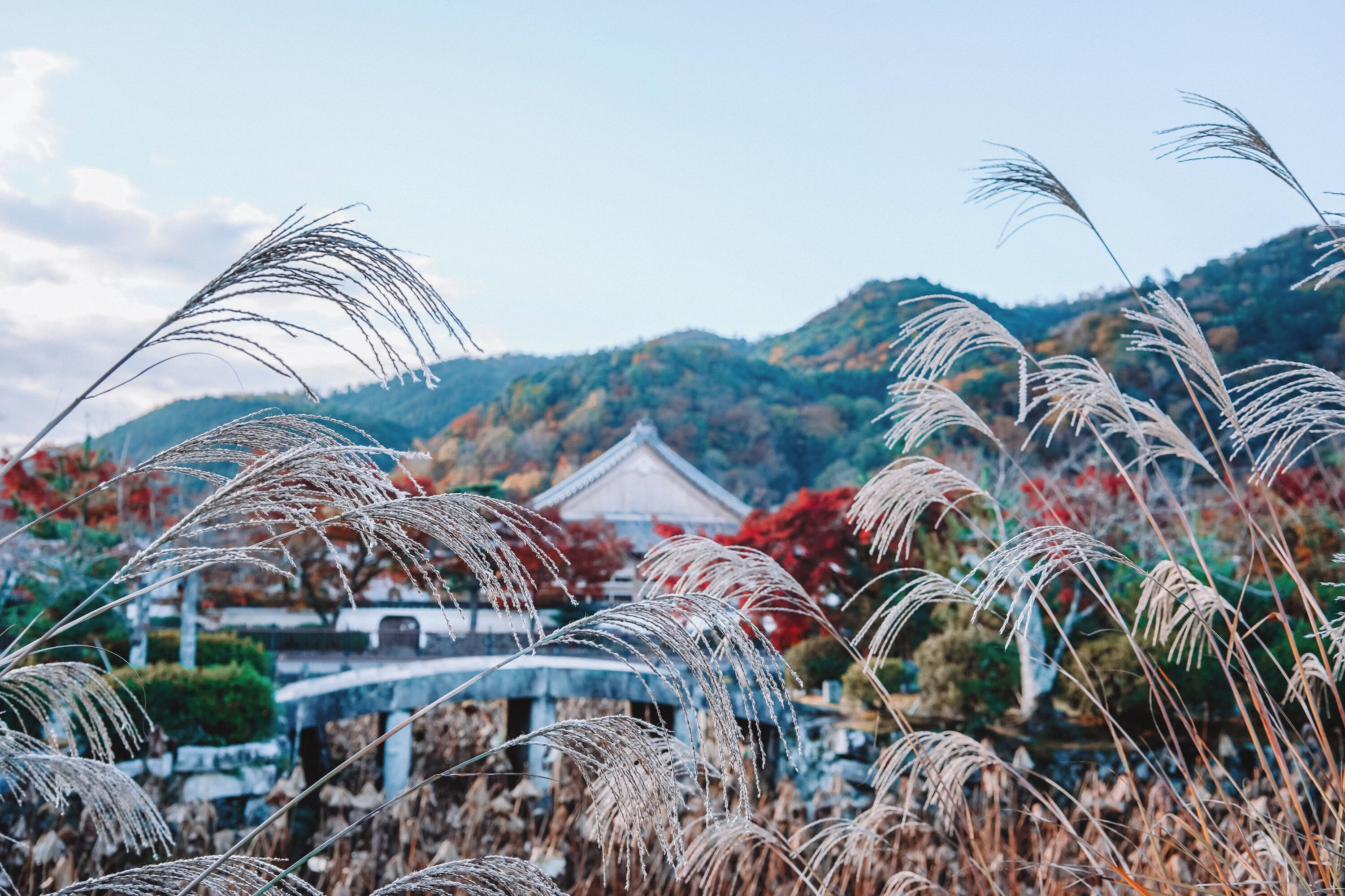 Beautiful backdrop for a North Shore wedding