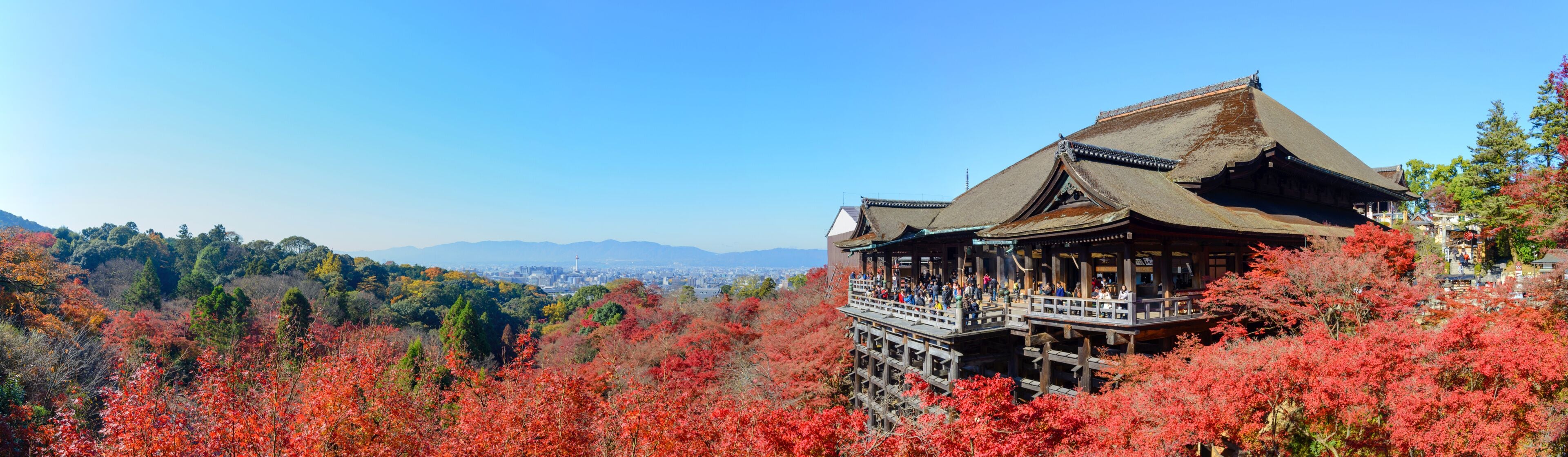 京都市