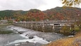Un pont sobre un riu amb fullatge d'hivern a la part posterior.