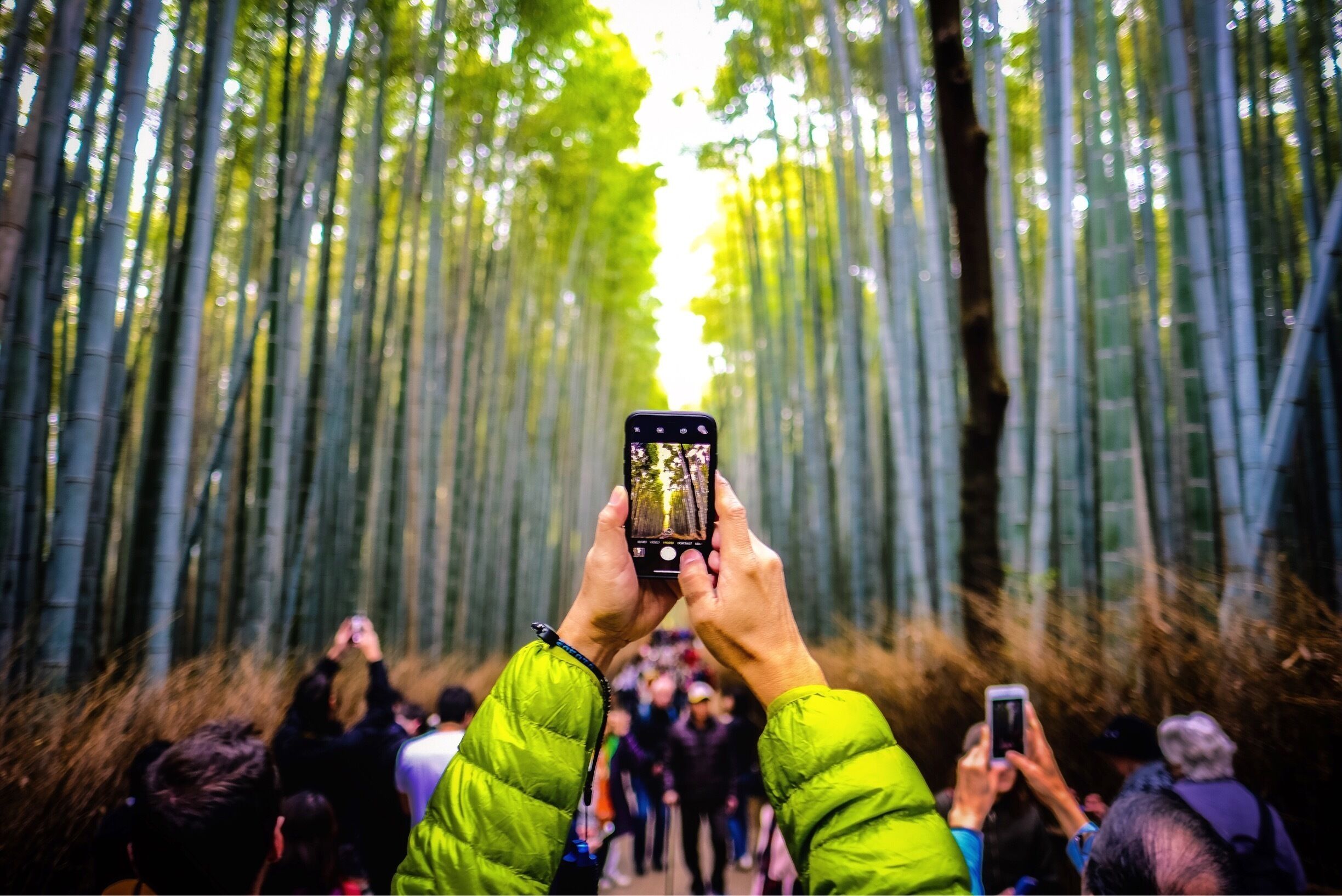 The most popular bamboo forest in Kyoto. So expect crowds unless you manage to get there at sunrise ... #bvsjapan #TroveOnTuesday