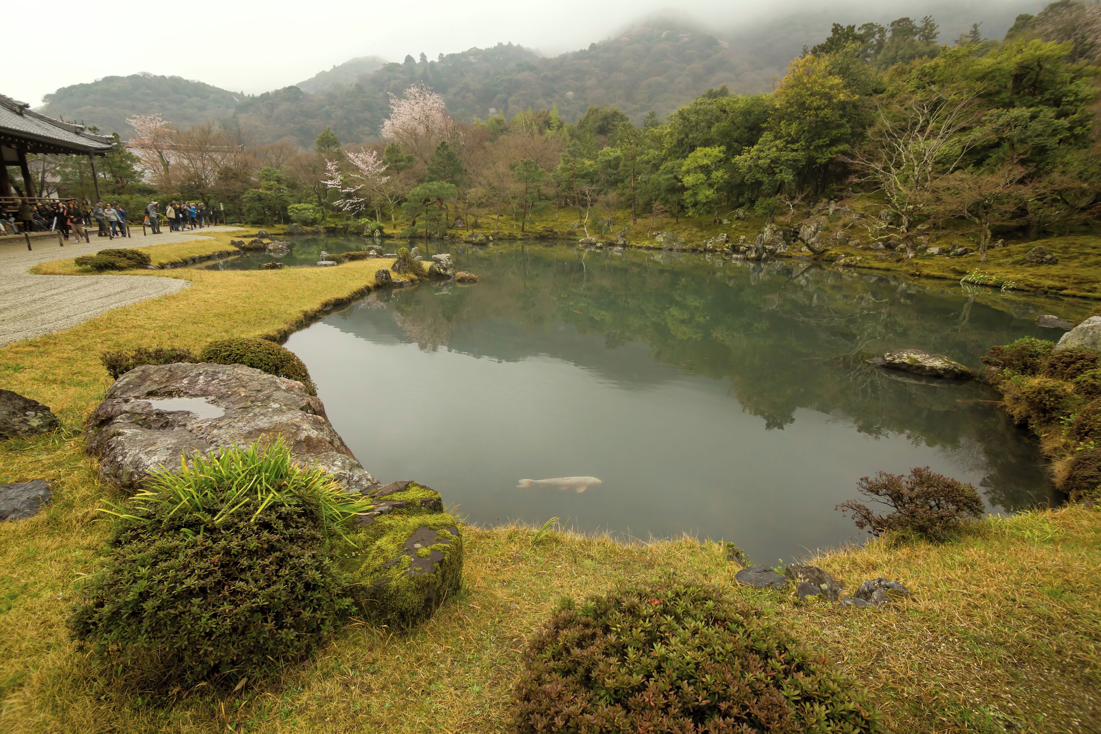 One of the primary attractions in the Arashiyama area along with the famed bamboo grove, Tenryu-ji temple has one of the finest gardens in Kyoto and wonderful mountain views. #asia #japan #kyoto #arashiyama #tenryu-ji #temple #pond #garden #landscape