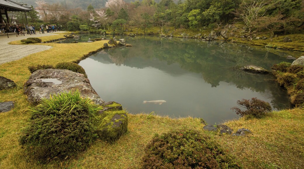 One of the primary attractions in the Arashiyama area along with the famed bamboo grove, Tenryu-ji temple has one of the finest gardens in Kyoto and wonderful mountain views. #asia #japan #kyoto #arashiyama #tenryu-ji #temple #pond #garden #landscape