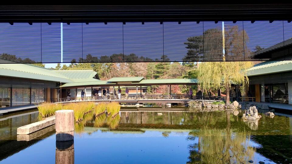 Un estanque tranquilo con reflejos, rodeado de arquitectura tradicional y un sauce llorón.