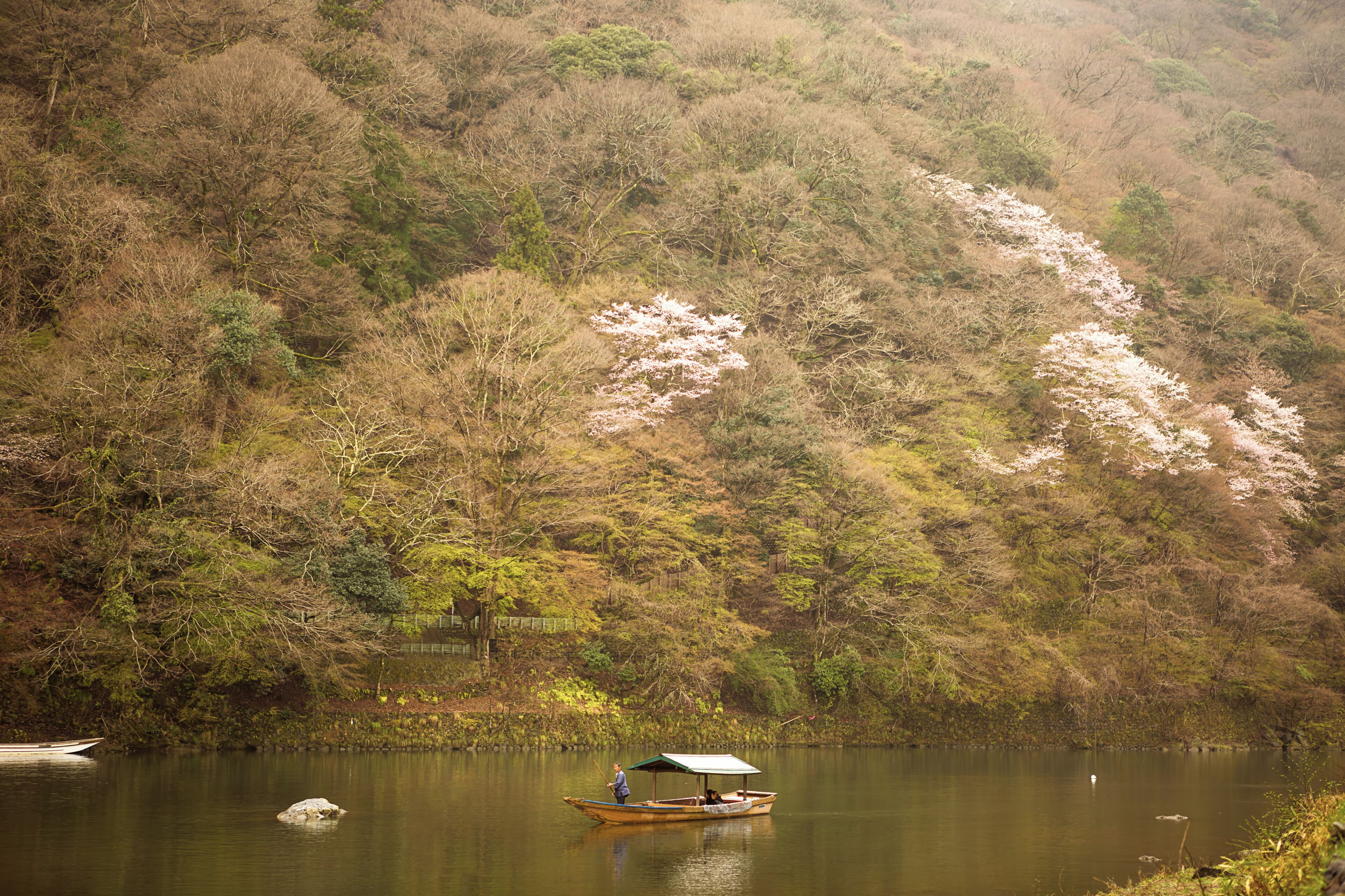 The scenic Katsura river of Arashiyama is made more beautiful in spring when the cherry blossoms dot the mountainsides around it. But seeing those maple trees makes me wonder how much more colorful this would be in the autumn season. Definitely one more reason to go back..
