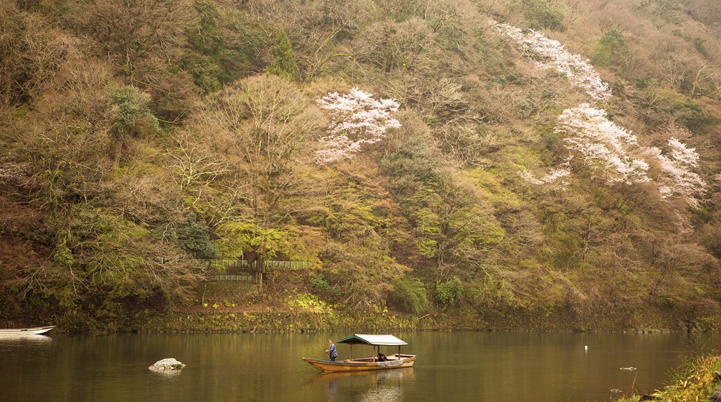 The scenic Katsura river of Arashiyama is made more beautiful in spring when the cherry blossoms dot the mountainsides around it. But seeing those maple trees makes me wonder how much more colorful this would be in the autumn season. Definitely one more reason to go back..
