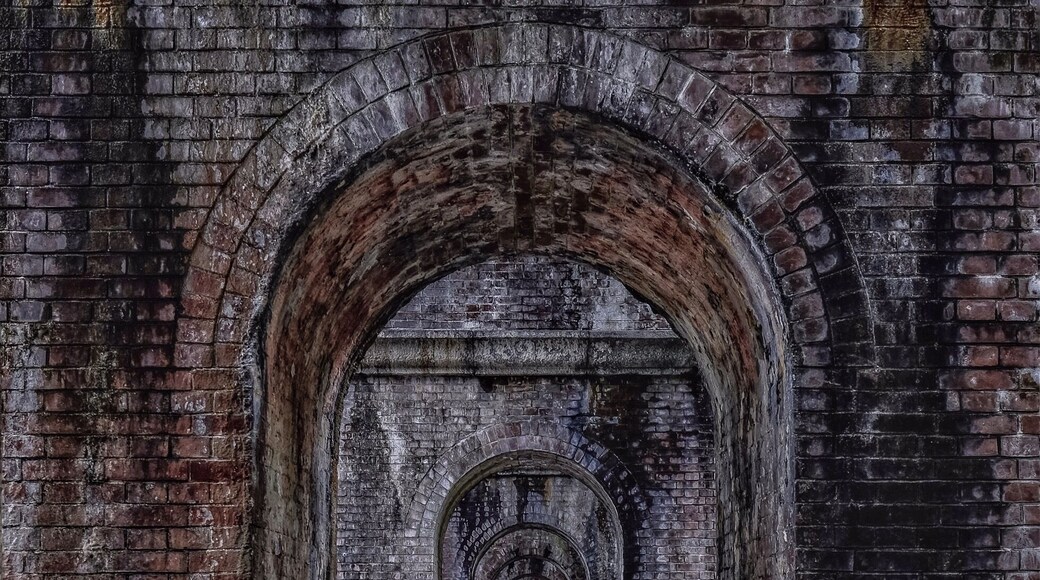 Kyoto aqueduct. Located inside the Nanzen-ji temple, this aqueduct is a popular photo spot #TroveOnTuesday #bvsjapan
