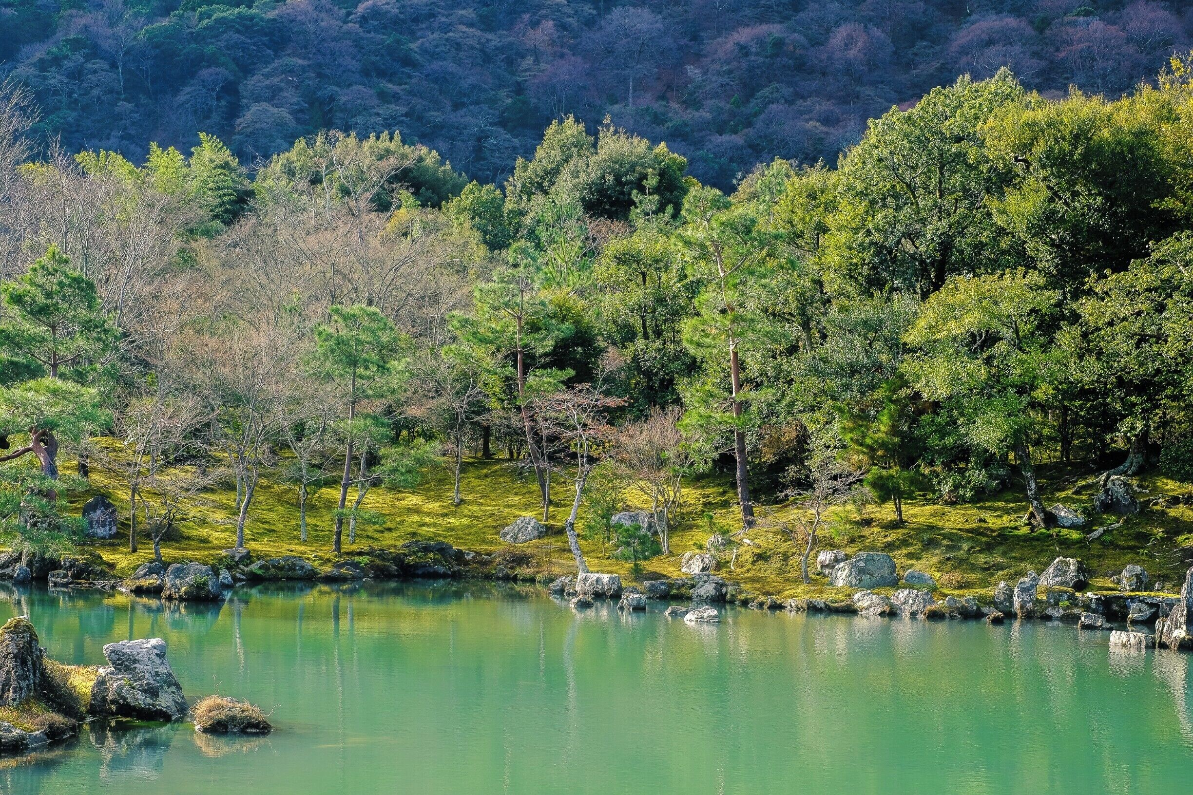 Beautiful garden #bvsjapan #troveontuesday