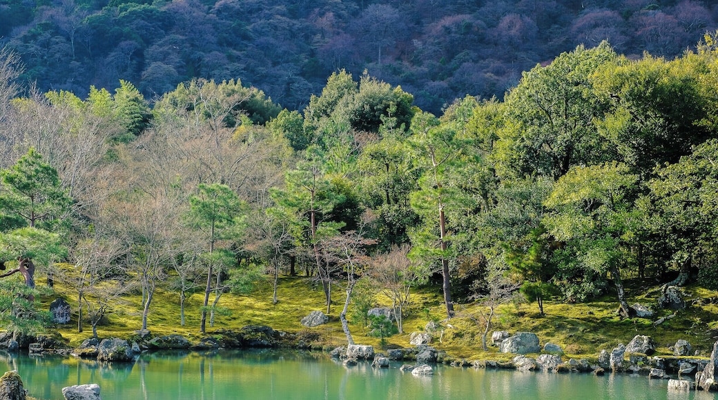 Beautiful garden #bvsjapan #troveontuesday