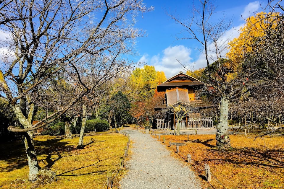 Um edifício japonês tradicional rodeado por árvores de outono e um caminho de cascalho.