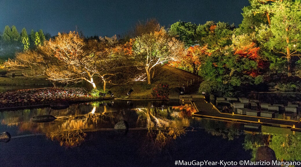 a relaxing night view