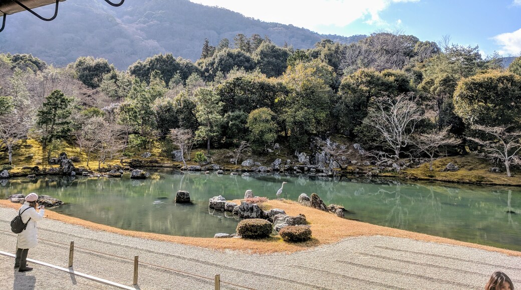 The Sogenchi Zen garden in the Tenryuji temple is a one of the five great Zen temple gardens in Kyoto's Arashiyama district. Zen gardens like these were intended to imitate the essence of nature and serve as an aid to meditation about the true meaning of existence.
#history #trovember #outdoors #zen #garden #arashiyama #kyoto #kansai #japan #asia