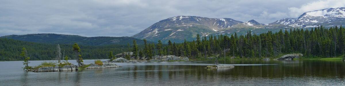 Boreal forest with Bare Loon Lake beautiful landscape with pine trees, famous Chilkoot Trail, historic gold rush hiking route between Alaska and British Columbia, Canada