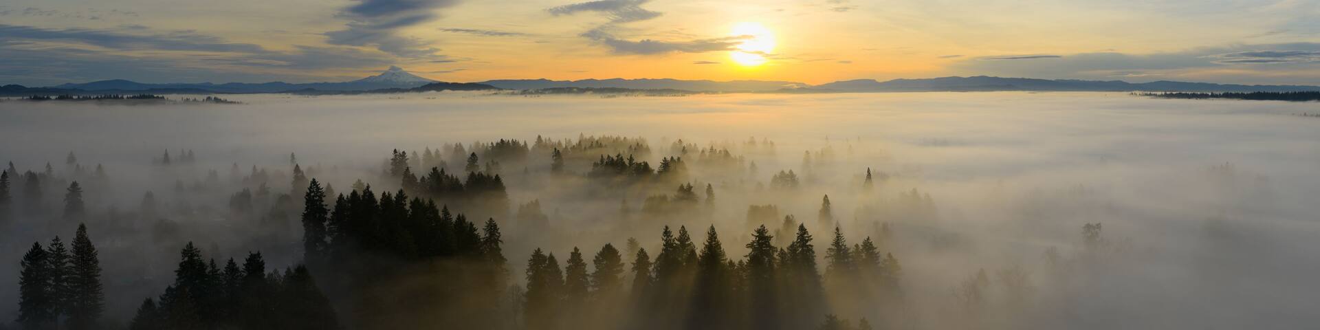 A forested landscape with a mountain in the distance and a sunrise or sunset.