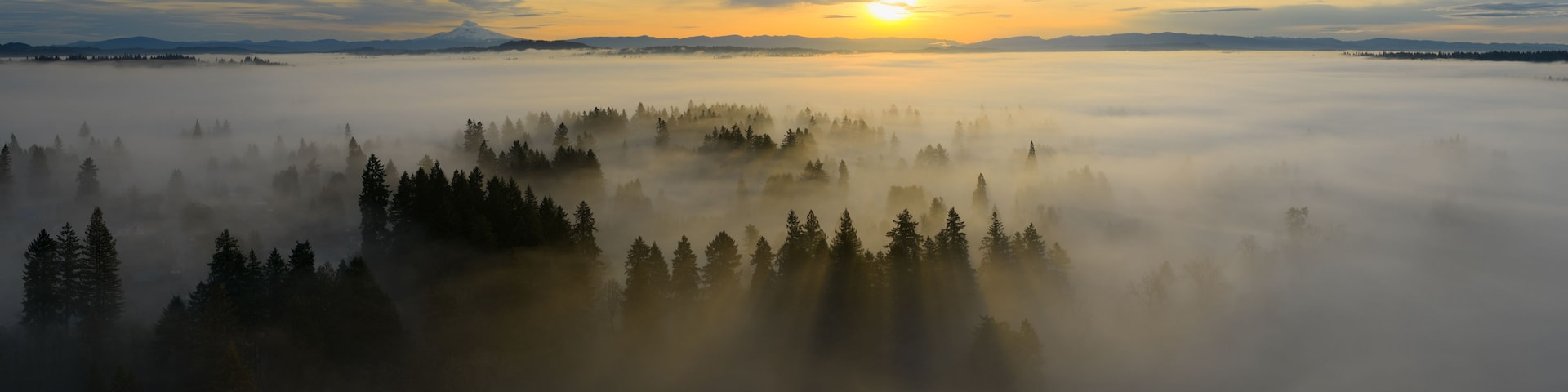 A forested landscape with a mountain in the distance and a sunrise or sunset.
