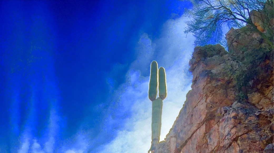 @Livin life on the edge"