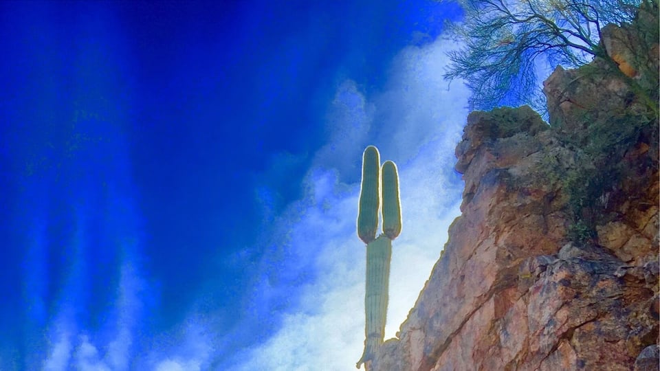 @Livin life on the edge"