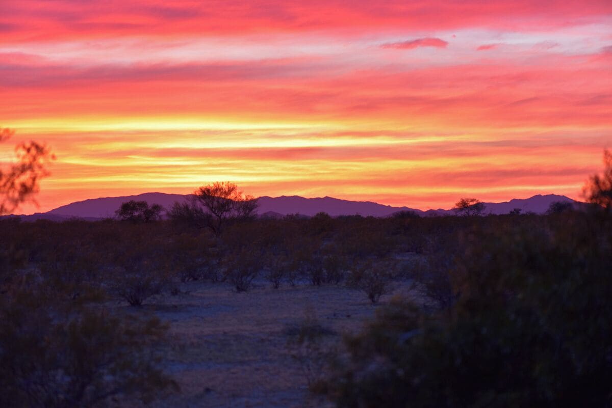 While out looking for snakes I was blessed with a beautiful desert sunset. i wish I had a wide angle lens to capture the colors of the sky but all I had was  my 105 mm macro.  I learned a lesson which is to have all my equipment available when I am out  in the desert. 