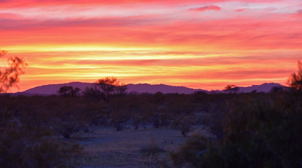 While out looking for snakes I was blessed with a beautiful desert sunset. i wish I had a wide angle lens to capture the colors of the sky but all I had was my 105 mm macro. I learned a lesson which is to have all my equipment available when I am out in the desert.
