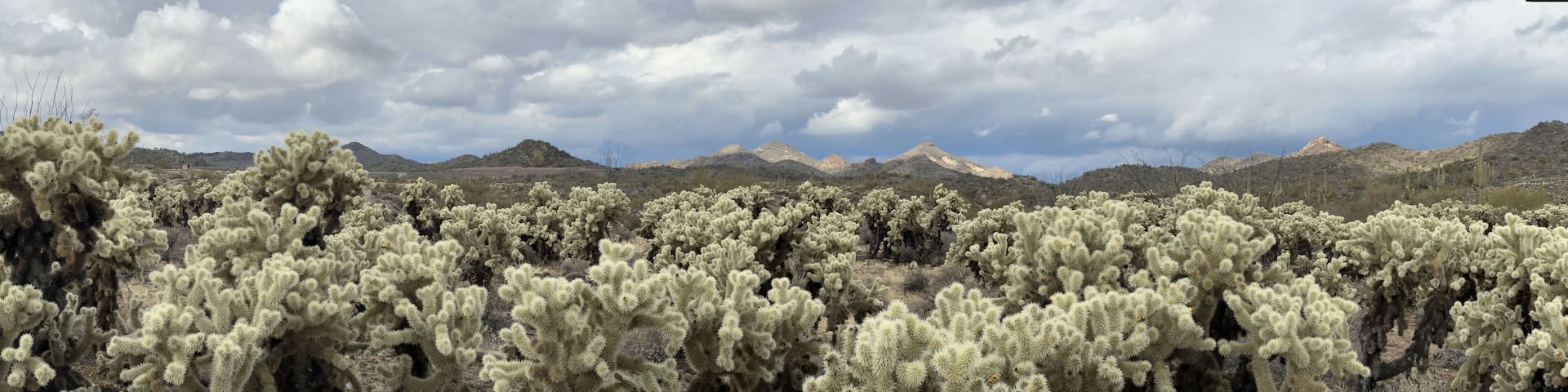 Wickenburg Hotel Guide