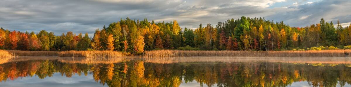 Beautiful morning light with autumn color reflection on the lake at the Backus Township Park in central Michigan