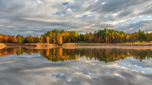 ์จ์คํธ ๋ธ๋์น