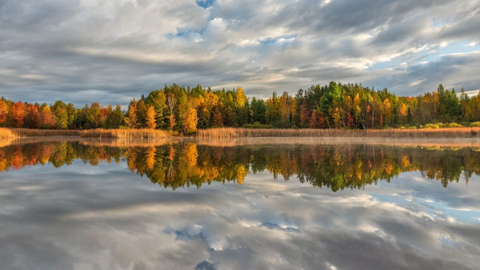 A calm lake reflecting autumn trees and a cloudy sky.