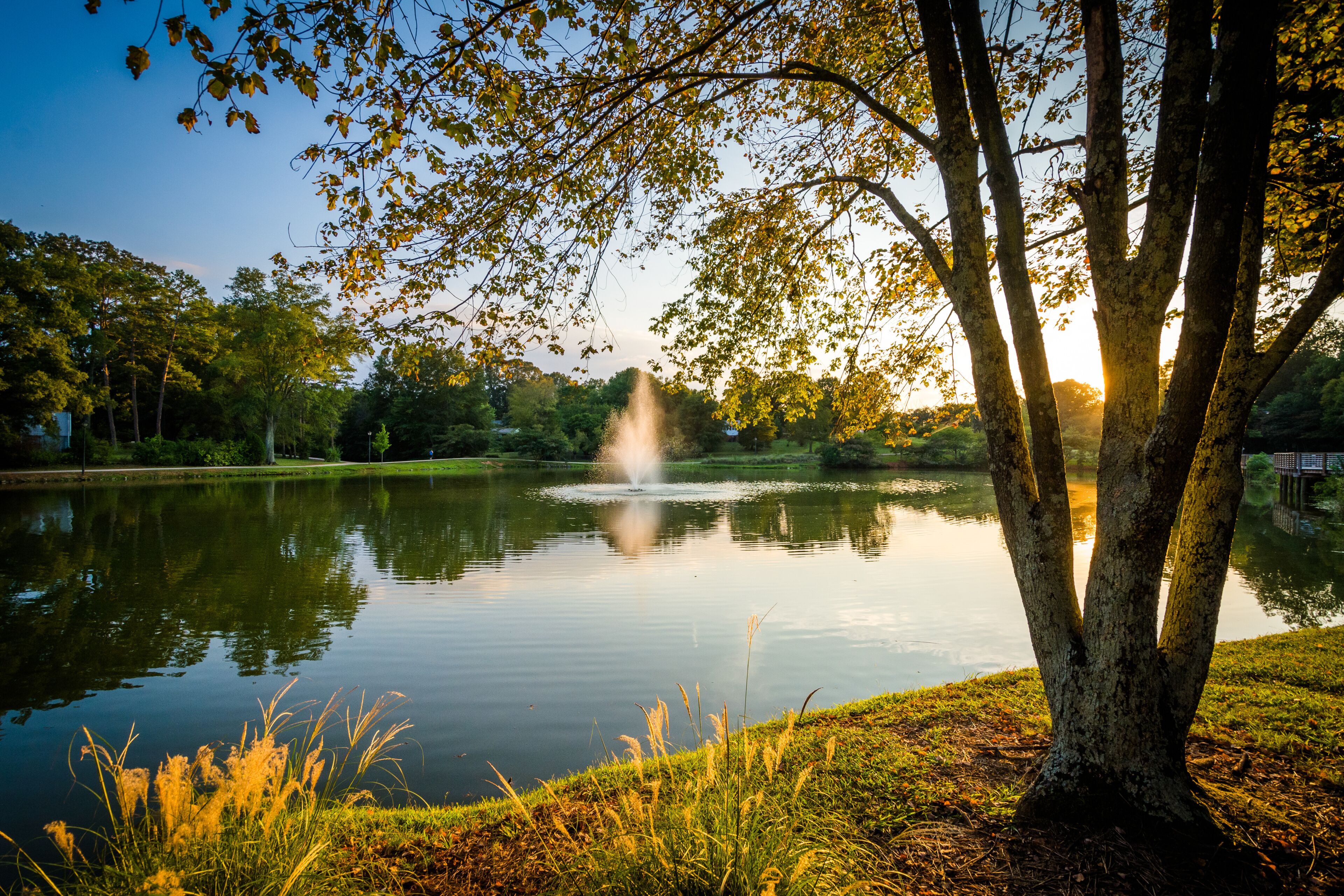 Fountain and pond at Roosevelt Wilson Park at sunset, in Davidso