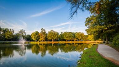 Pond at Roosevelt Wilson Park, in Davidson, North Carolina.