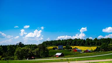 Misty Trail Overlook on Blue Ridge Parkway