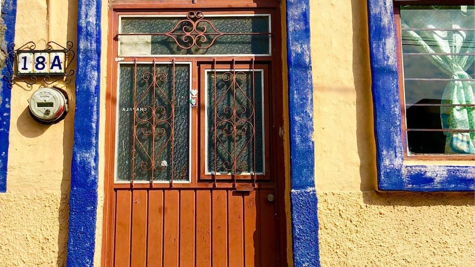 Street dogs and beauty everywhere