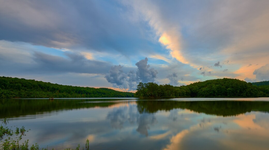 Tranquility of gorgeous summer evening at the park