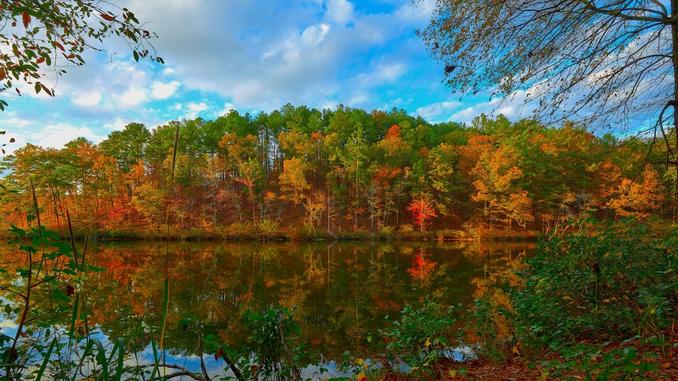A serene lake surrounded by autumn-colored trees and a clear sky.