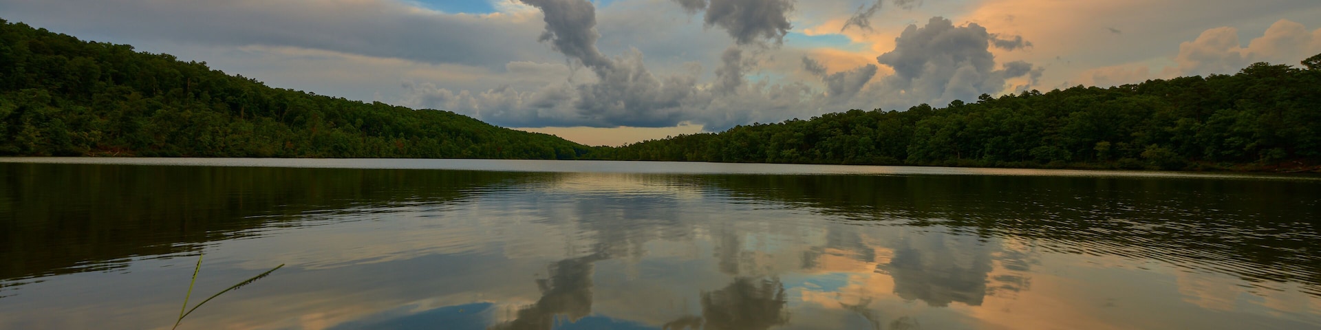 Un lago tranquilo con una orilla boscosa y un cielo nublado.