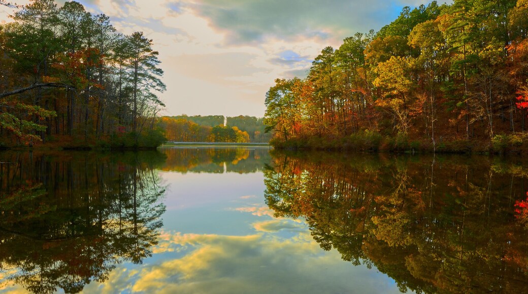 Gorgeous scenic view of autumn forest and lake