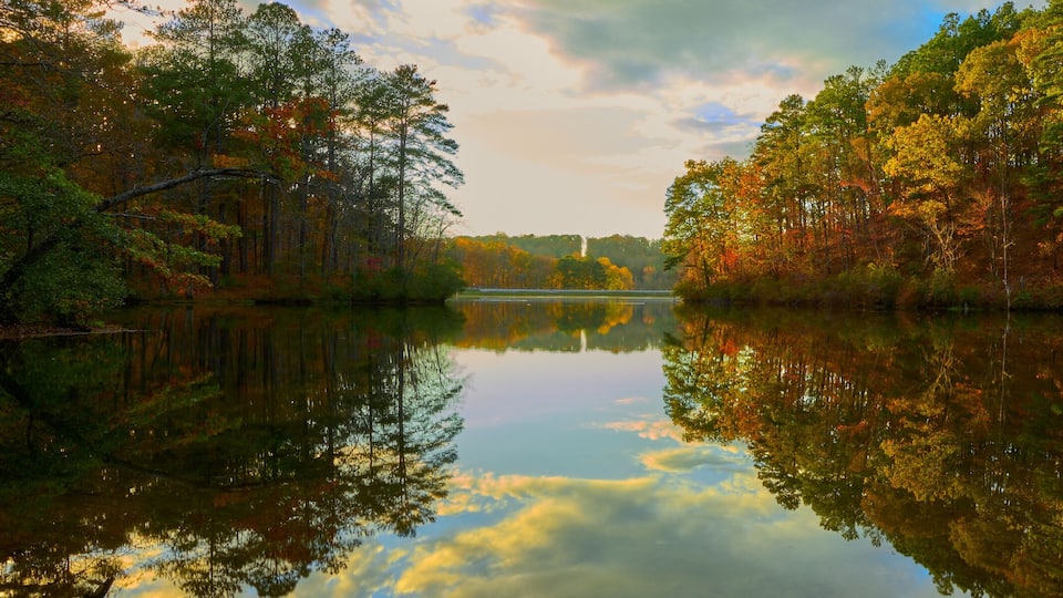 A calm lake surrounded by autumn-colored trees reflecting the sky.