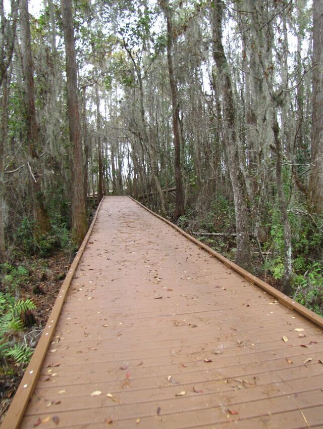 Chesser Island Boardwalk
