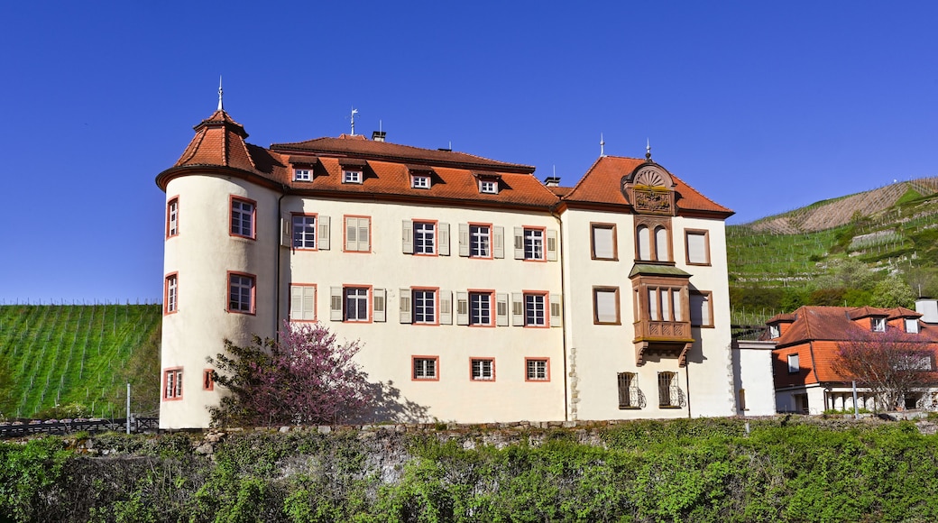 Un grand bâtiment à plusieurs étages, surmonté d’un toit recouvert de tuiles rouges, entouré d’une végétation luxuriante et adossé à une colline.