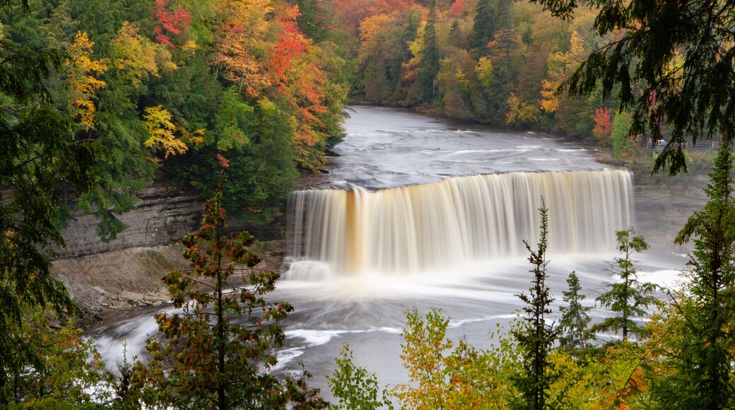 Tahquamenon Falls at peak fall color, Upper Peninsula, Michigan