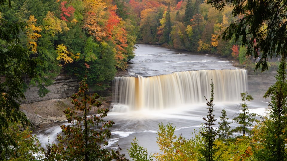 A waterfall surrounded by autumn-colored trees.