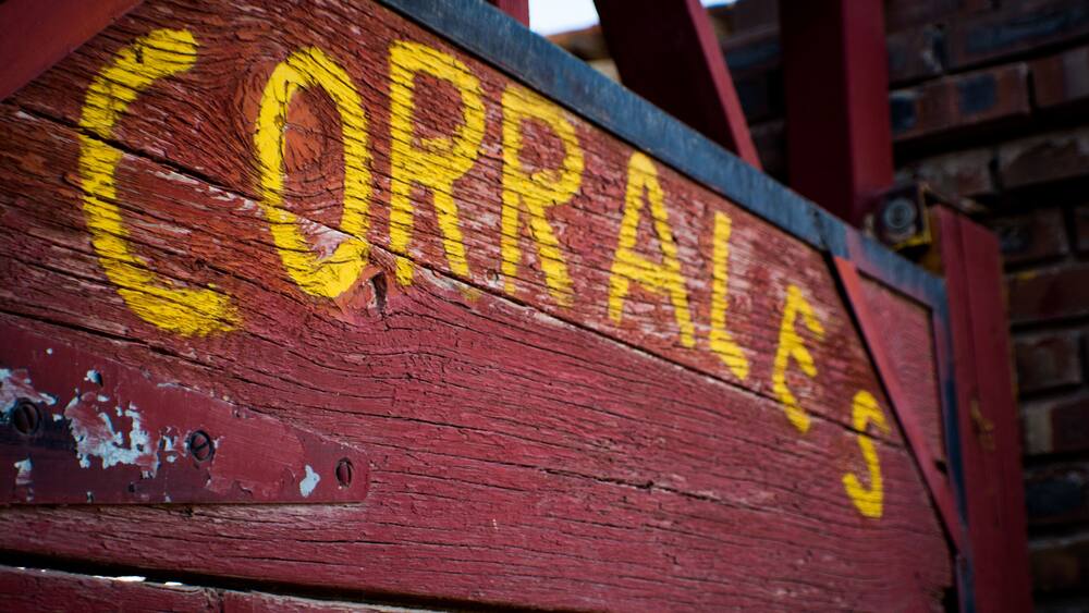 Puerta de los corrales de los toros