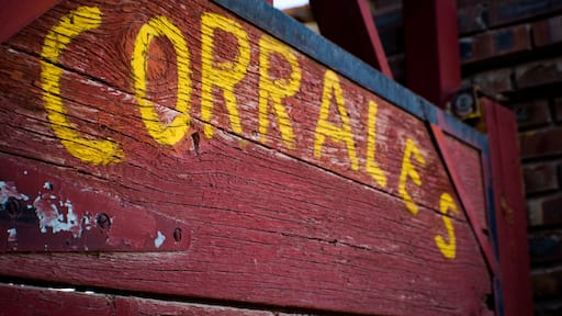 คอร์ราเลส