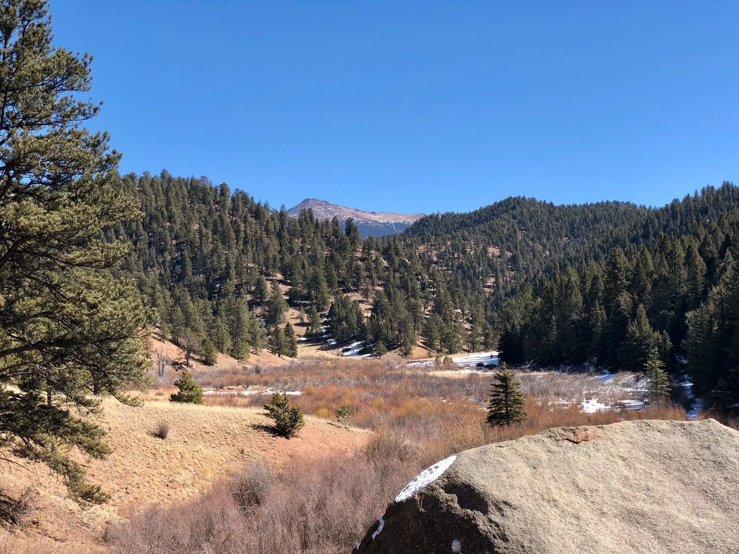 Rumor has it, Teddy Roosevelt hunted these hills.