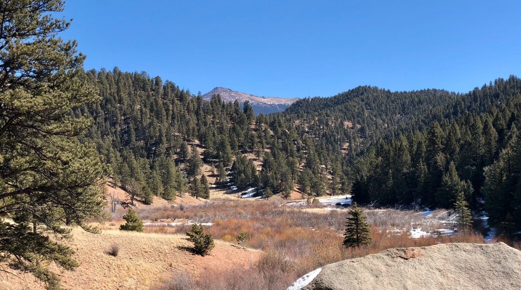 Rumor has it, Teddy Roosevelt hunted these hills.