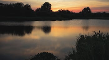 A very nice nature reserve ideal for an evening walk!