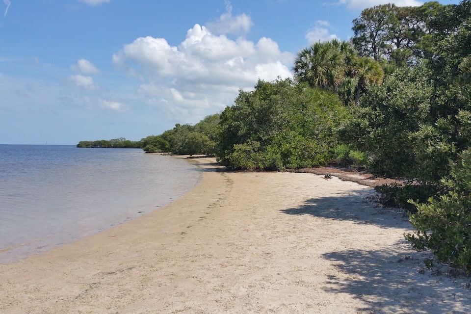 Una playa arenosa con abundante vegetación verde y aguas tranquilas.