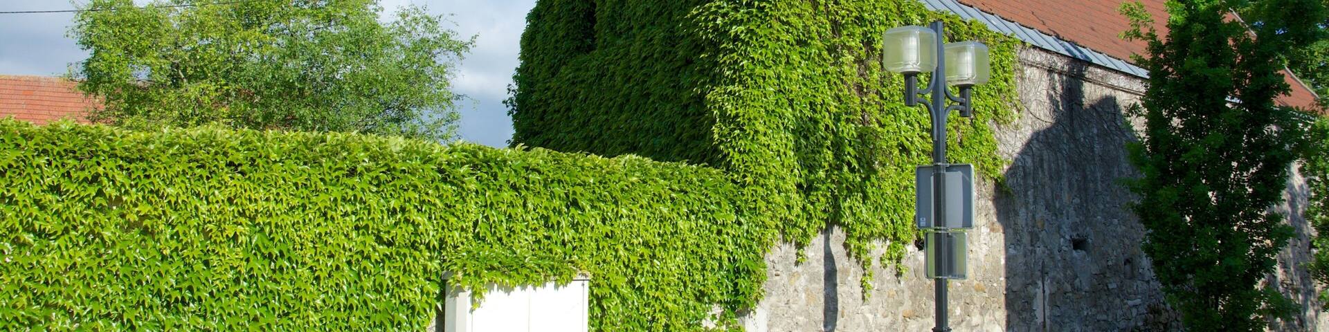 Roissy-en-France Hotel Guide